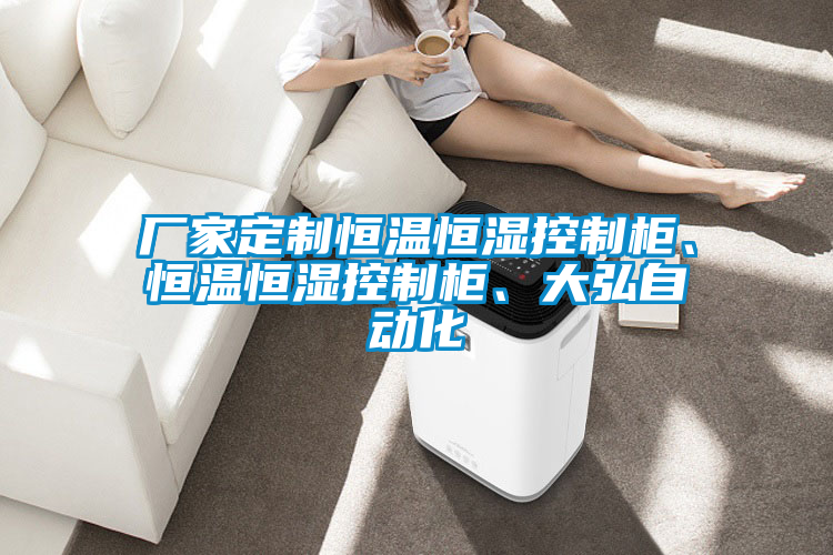 廠家定制恒溫恒濕控制柜、恒溫恒濕控制柜、大弘自動化