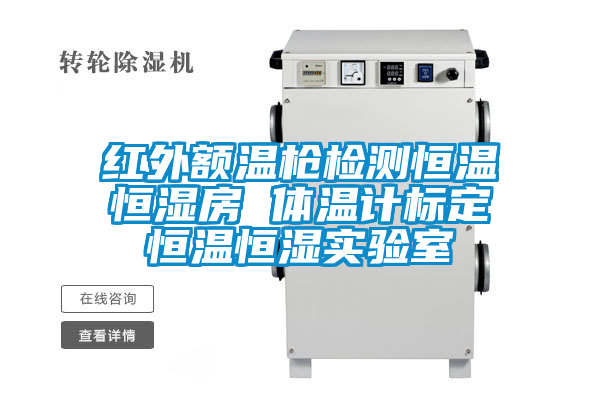 紅外額溫槍檢測恒溫恒濕房 體溫計標(biāo)定恒溫恒濕實(shí)驗室