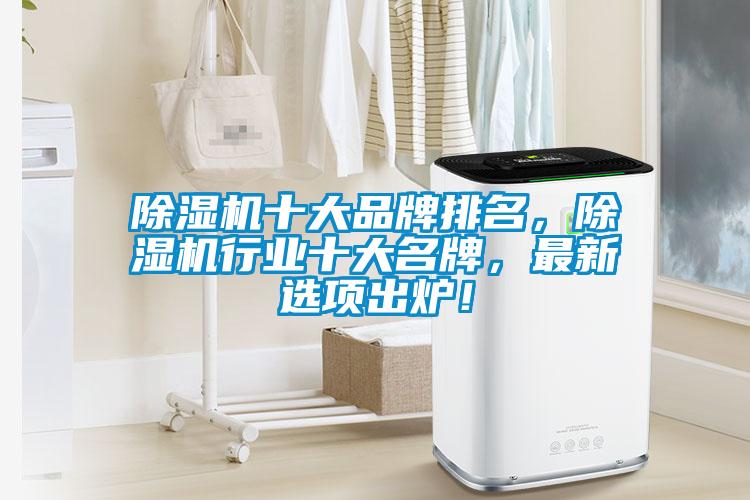 除濕機(jī)十大品牌排名，除濕機(jī)行業(yè)十大名牌，最新選項(xiàng)出爐！