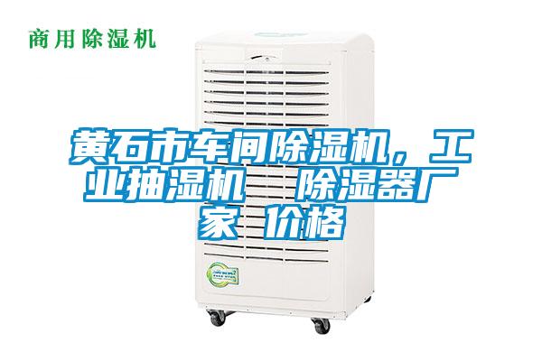 黃石市車間除濕機(jī)，工業(yè)抽濕機(jī)  除濕器廠家 價(jià)格