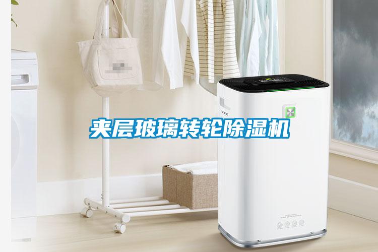 夾層玻璃轉輪除濕機