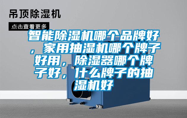 智能除濕機哪個品牌好，家用抽濕機哪個牌子好用，除濕器哪個牌子好，什么牌子的抽濕機好