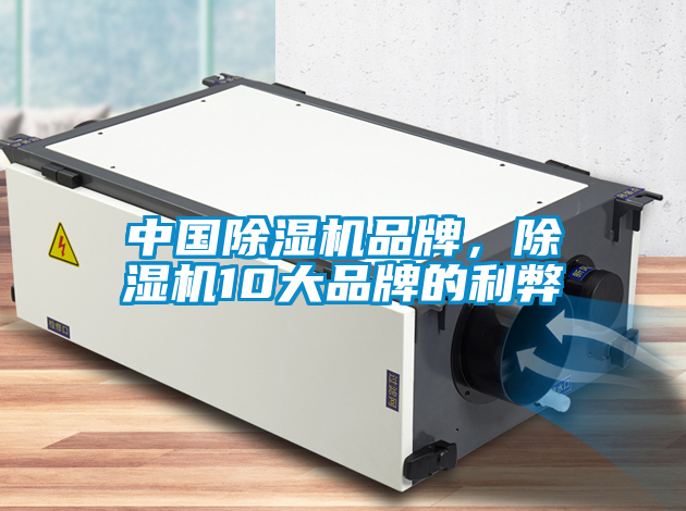 中國(guó)除濕機(jī)品牌，除濕機(jī)10大品牌的利弊