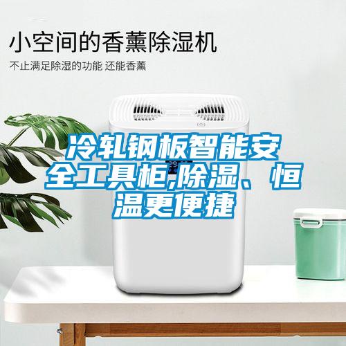 冷軋鋼板智能安全工具柜,除濕、恒溫更便捷