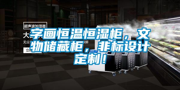 字畫恒溫恒濕柜，文物儲藏柜，非標設(shè)計定制！