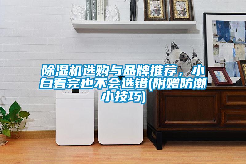 除濕機(jī)選購與品牌推薦，小白看完也不會(huì)選錯(cuò)(附贈(zèng)防潮小技巧)