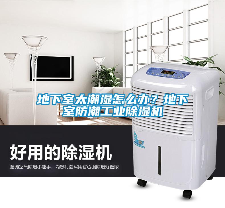 地下室太潮濕怎么辦？地下室防潮工業(yè)除濕機(jī)