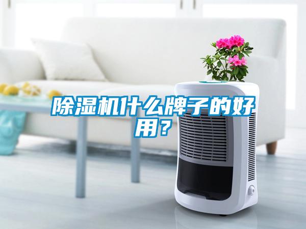 除濕機(jī)什么牌子的好用？