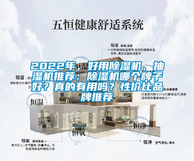 2022年，好用除濕機、抽濕機推薦：除濕機哪個牌子好？真的有用嗎？性價比品牌推薦