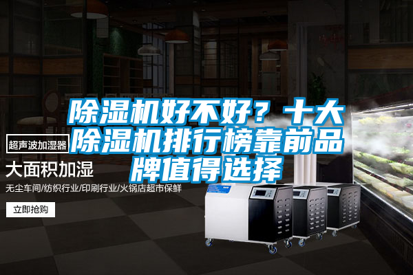 除濕機好不好？十大除濕機排行榜靠前品牌值得選擇