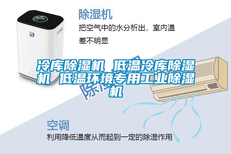 冷庫(kù)除濕機(jī) 低溫冷庫(kù)除濕機(jī) 低溫環(huán)境專用工業(yè)除濕機(jī)