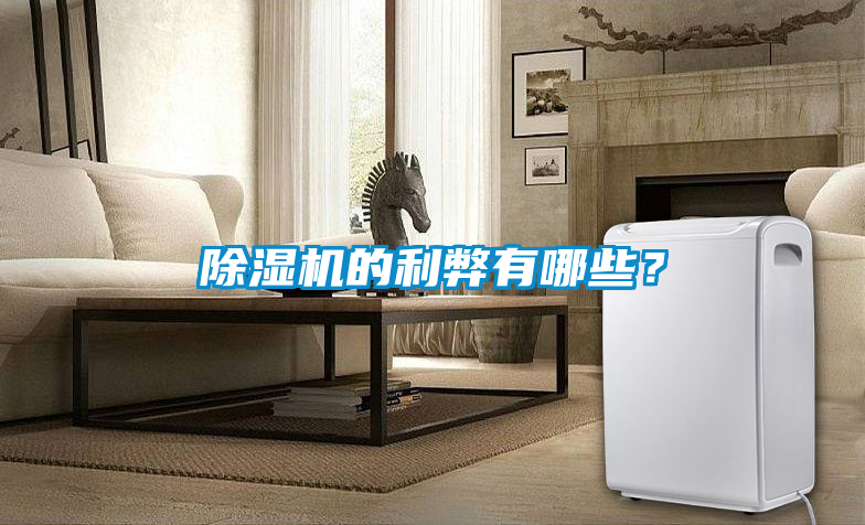 除濕機(jī)的利弊有哪些？