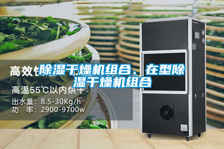 除濕干燥機組合、在型除濕干燥機組合