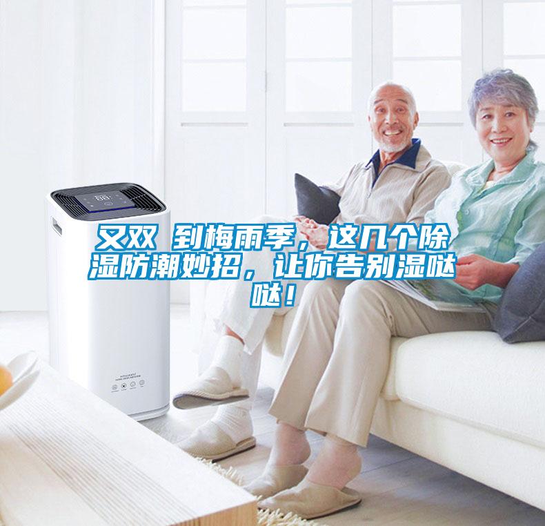 又雙叒到梅雨季，這幾個(gè)除濕防潮妙招，讓你告別濕噠噠！