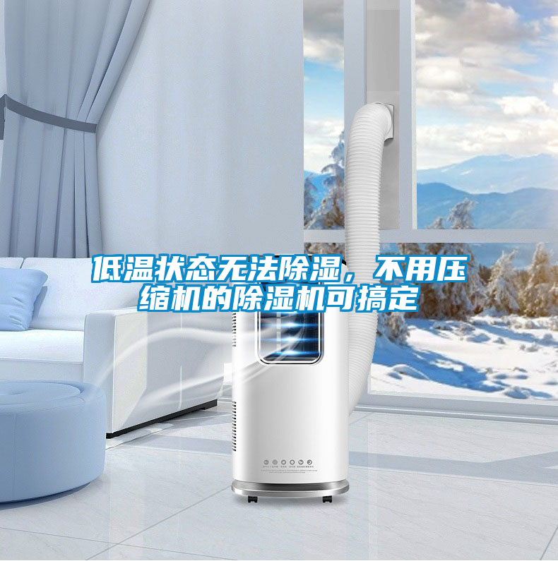 低溫狀態(tài)無法除濕，不用壓縮機的除濕機可搞定