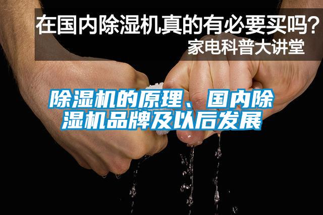 除濕機的原理、國內(nèi)除濕機品牌及以后發(fā)展