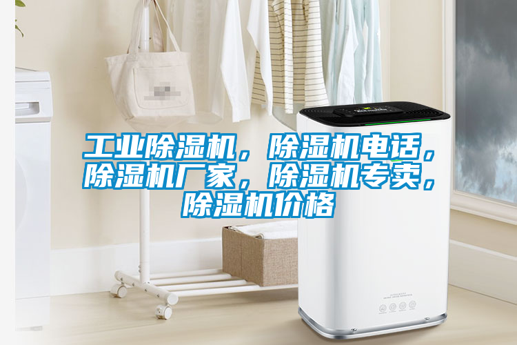工業(yè)除濕機(jī)，除濕機(jī)電話，除濕機(jī)廠家，除濕機(jī)專賣，除濕機(jī)價(jià)格