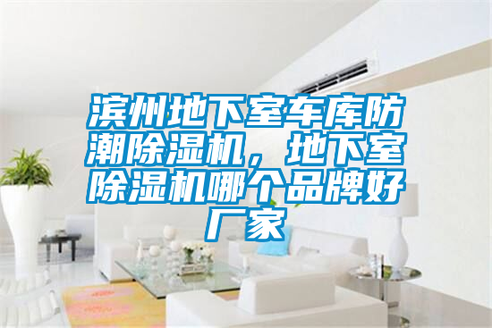 濱州地下室車庫防潮除濕機，地下室除濕機哪個品牌好廠家