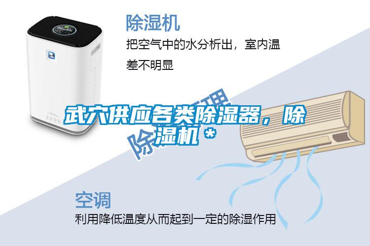 武穴供應(yīng)各類除濕器，除濕機(jī)＊