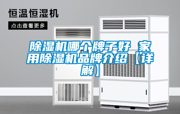 除濕機(jī)哪個牌子好 家用除濕機(jī)品牌介紹【詳解】