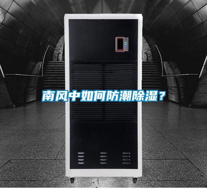 南風(fēng)中如何防潮除濕？