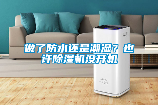 做了防水還是潮濕？也許除濕機(jī)沒開機(jī)