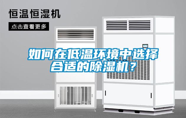 如何在低溫環(huán)境中選擇合適的除濕機(jī)？