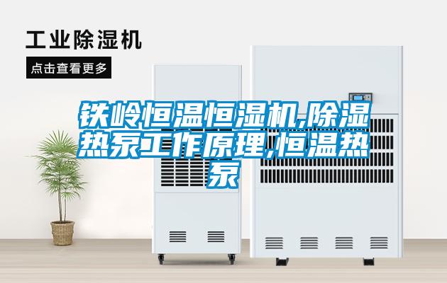 鐵嶺恒溫恒濕機(jī),除濕熱泵工作原理,恒溫?zé)岜?/></p>
						    <p style=