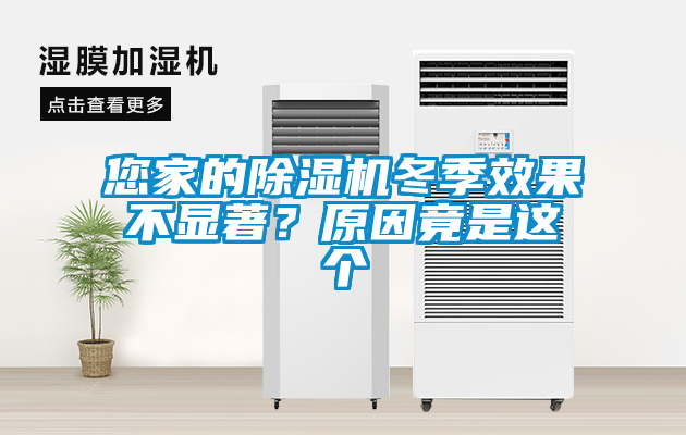 您家的除濕機(jī)冬季效果不顯著？原因竟是這個(gè)
