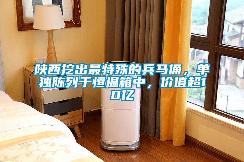 陜西挖出最特殊的兵馬俑，單獨(dú)陳列于恒溫箱中，價(jià)值超10億