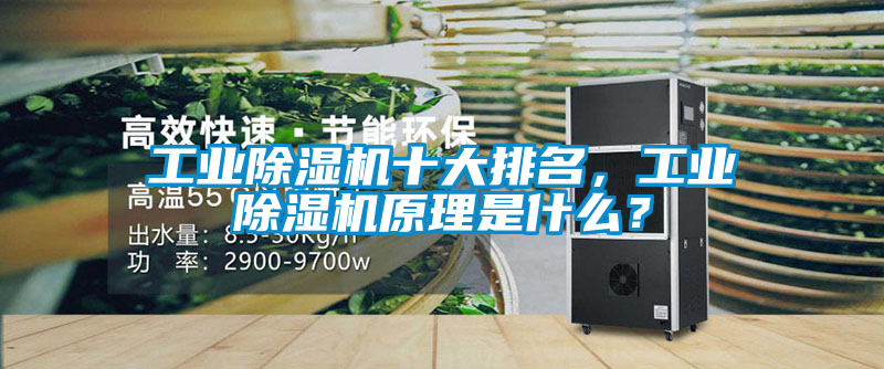工業(yè)除濕機(jī)十大排名，工業(yè)除濕機(jī)原理是什么？