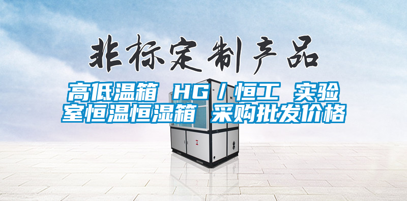 高低溫箱 HG／恒工 實驗室恒溫恒濕箱 采購批發(fā)價格