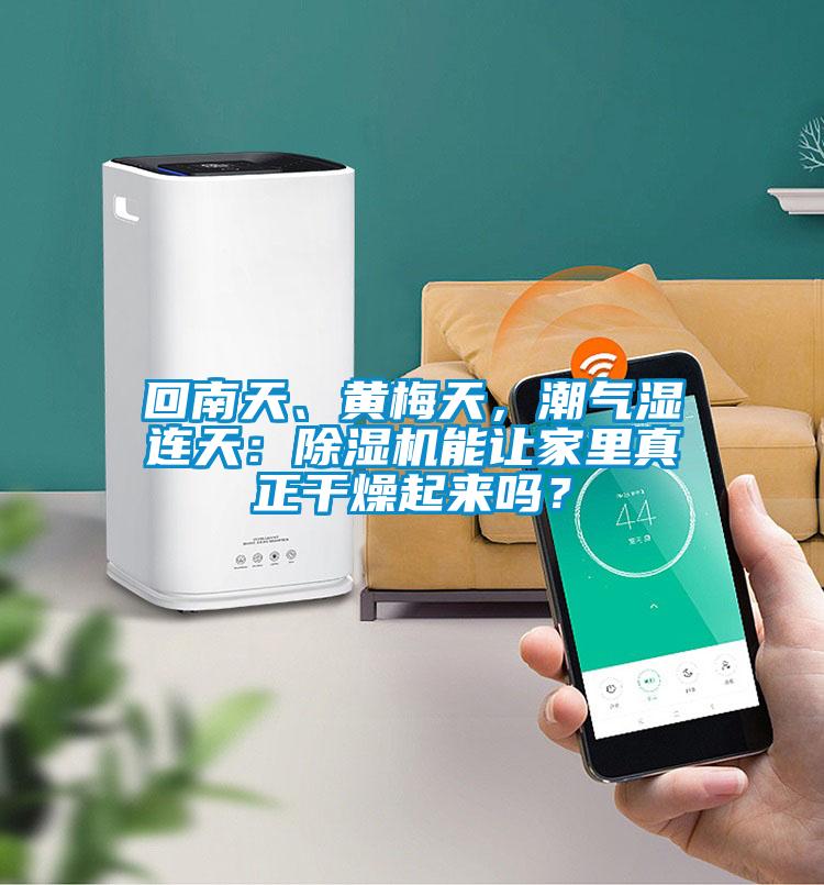 回南天、黃梅天，潮氣濕連天：除濕機能讓家里真正干燥起來嗎？