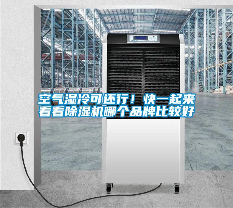 空氣濕冷可還行！快一起來看看除濕機(jī)哪個(gè)品牌比較好