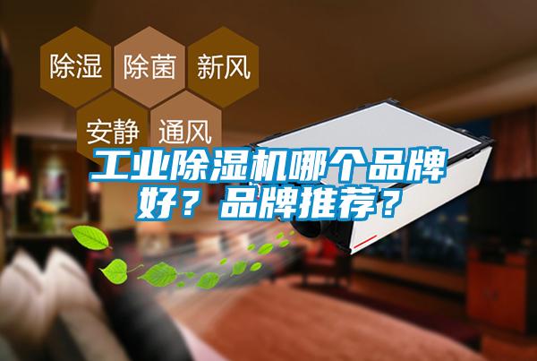 工業(yè)除濕機(jī)哪個(gè)品牌好？品牌推薦？