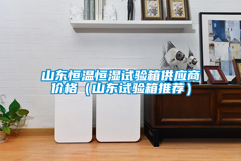 山東恒溫恒濕試驗(yàn)箱供應(yīng)商價格（山東試驗(yàn)箱推薦）