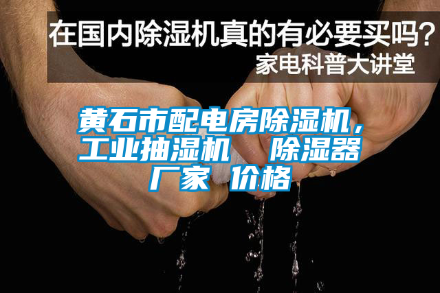 黃石市配電房除濕機(jī)，工業(yè)抽濕機(jī)  除濕器廠家 價(jià)格