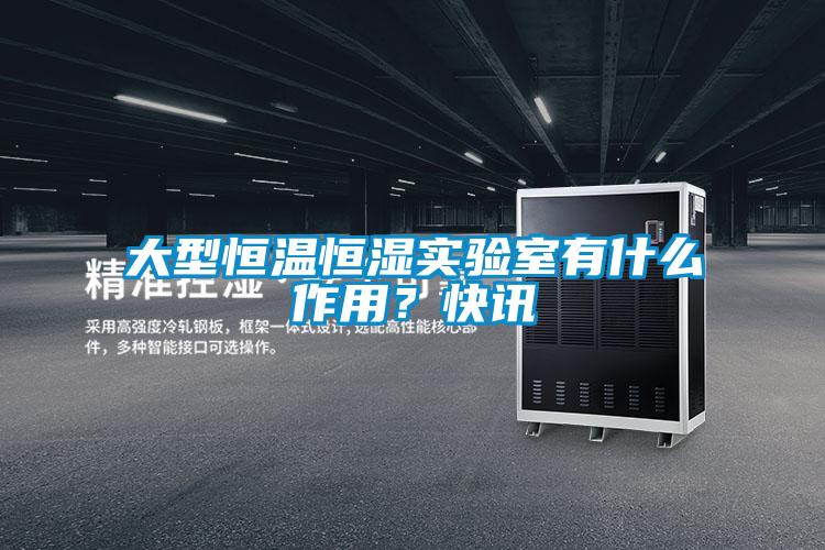 大型恒溫恒濕實(shí)驗(yàn)室有什么作用？快訊