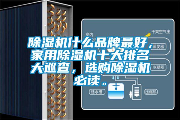 除濕機(jī)什么品牌最好，家用除濕機(jī)十大排名大巡查，選購(gòu)除濕機(jī)必讀。