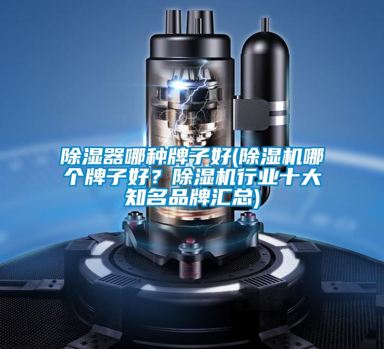 除濕器哪種牌子好(除濕機(jī)哪個(gè)牌子好？除濕機(jī)行業(yè)十大知名品牌匯總)