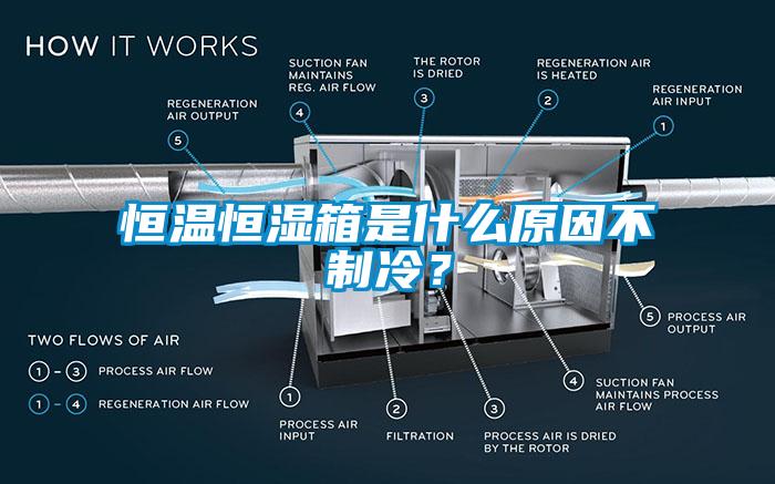 恒溫恒濕箱是什么原因不制冷？