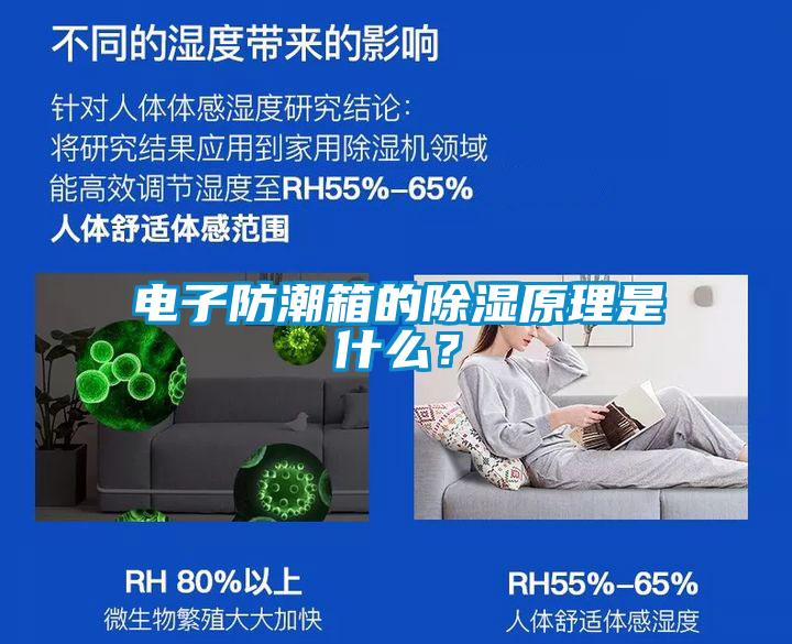 電子防潮箱的除濕原理是什么？