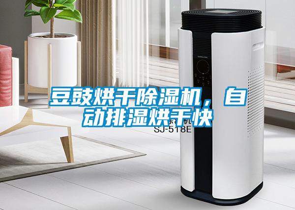 豆豉烘干除濕機(jī)，自動(dòng)排濕烘干快