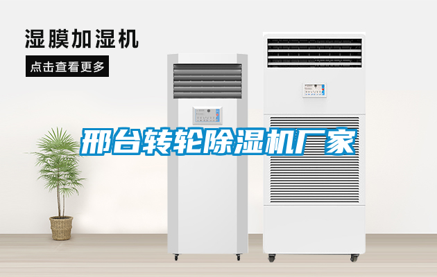 邢臺轉(zhuǎn)輪除濕機(jī)廠家