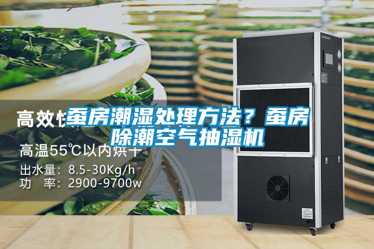 蠶房潮濕處理方法？蠶房除潮空氣抽濕機(jī)
