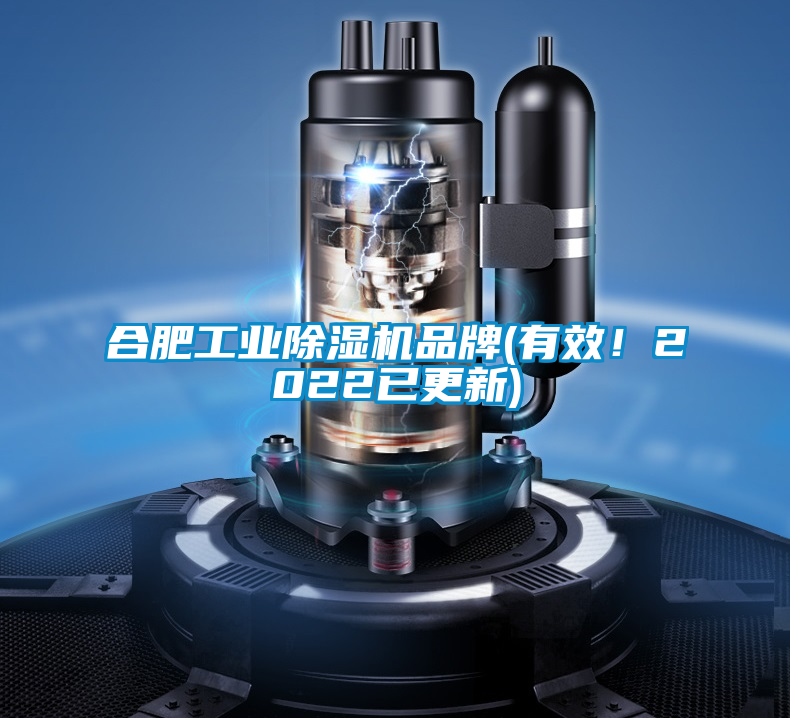 合肥工業(yè)除濕機品牌(有效！2022已更新)