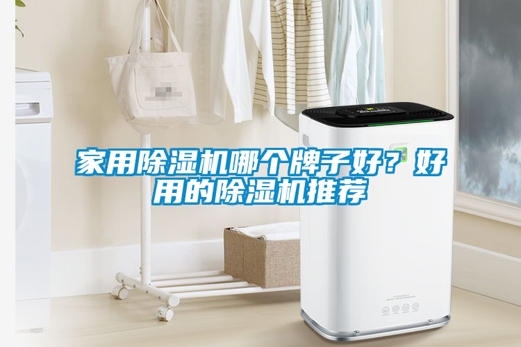 家用除濕機哪個牌子好？好用的除濕機推薦