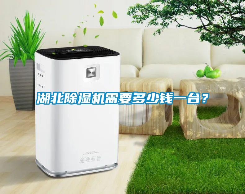 湖北除濕機(jī)需要多少錢(qián)一臺(tái)？