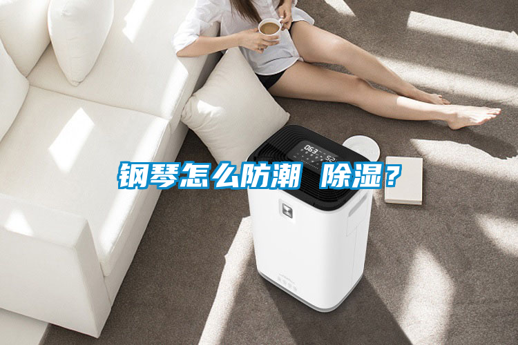 鋼琴怎么防潮 除濕？