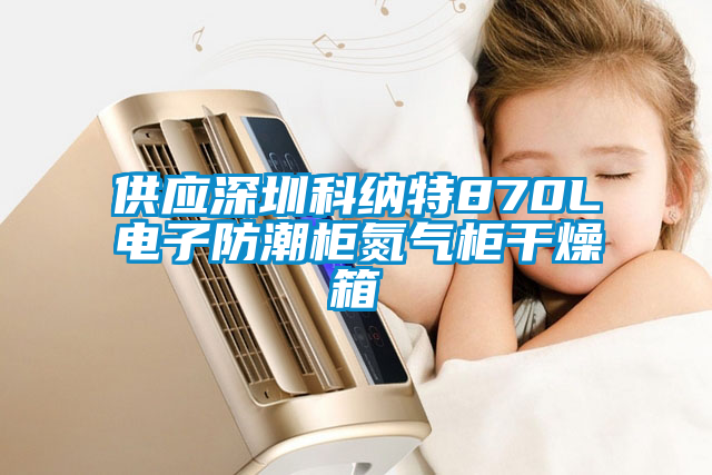 供應(yīng)深圳科納特870L電子防潮柜氮?dú)夤窀稍锵?/></p>
						    <p style=